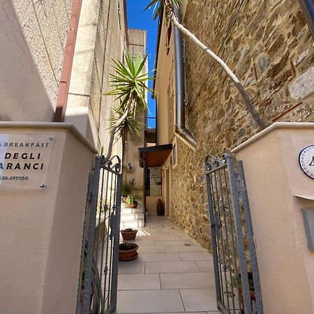 B&B Degli Aranci Palinuro Ngoại thất bức ảnh